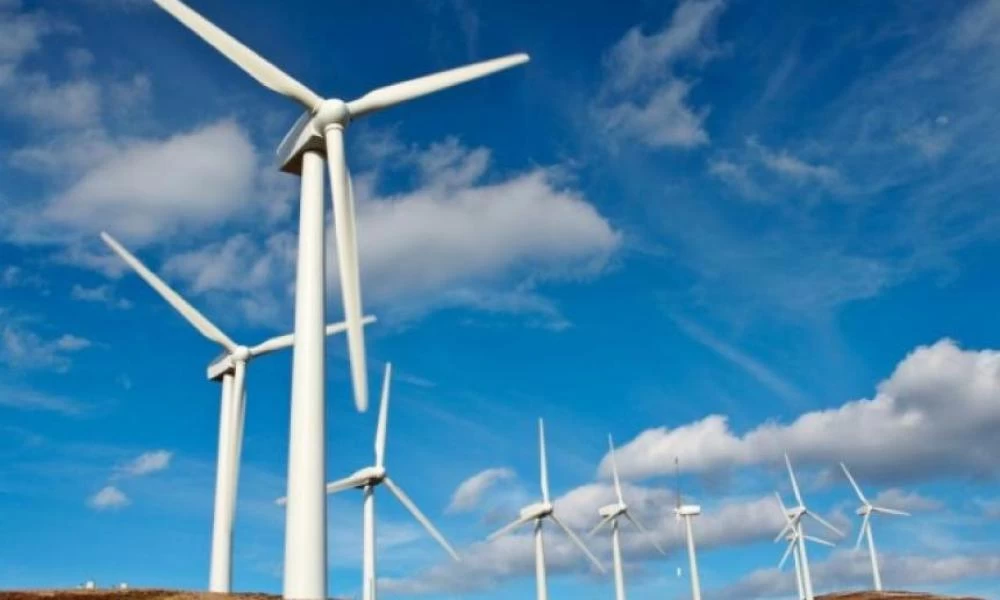Τα πτηνά καταφέρνουν και αποφεύγουν τις ανεμογεννήτριες!